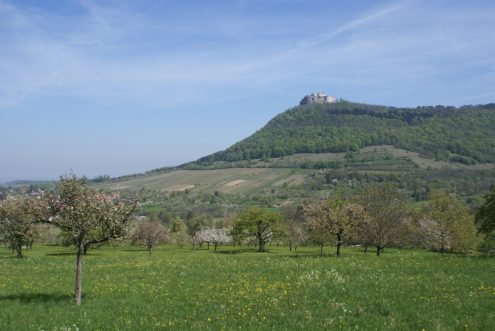 weinberg